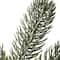 2ft. Pre-Lit Snowy Morgan Spruce Artificial Christmas Tree, Warm White LED Lights